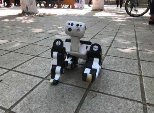 能跑能跳能聊天 “全能寵物”萌呆山大學生