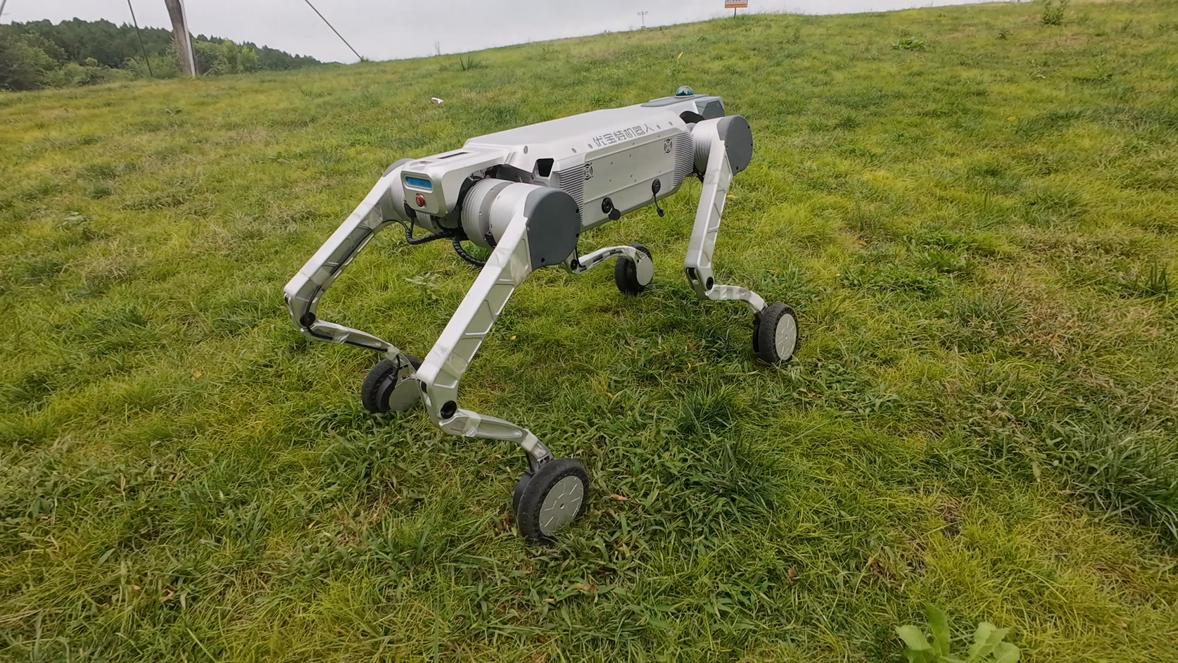 優(yōu)寶特重磅推出Y20-W輪式四足機器人，智能靈巧、性能澎湃